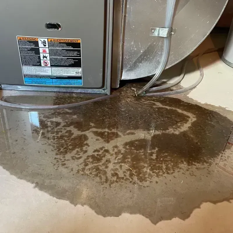 Appliance Leak Cleanup in De Smet, SD